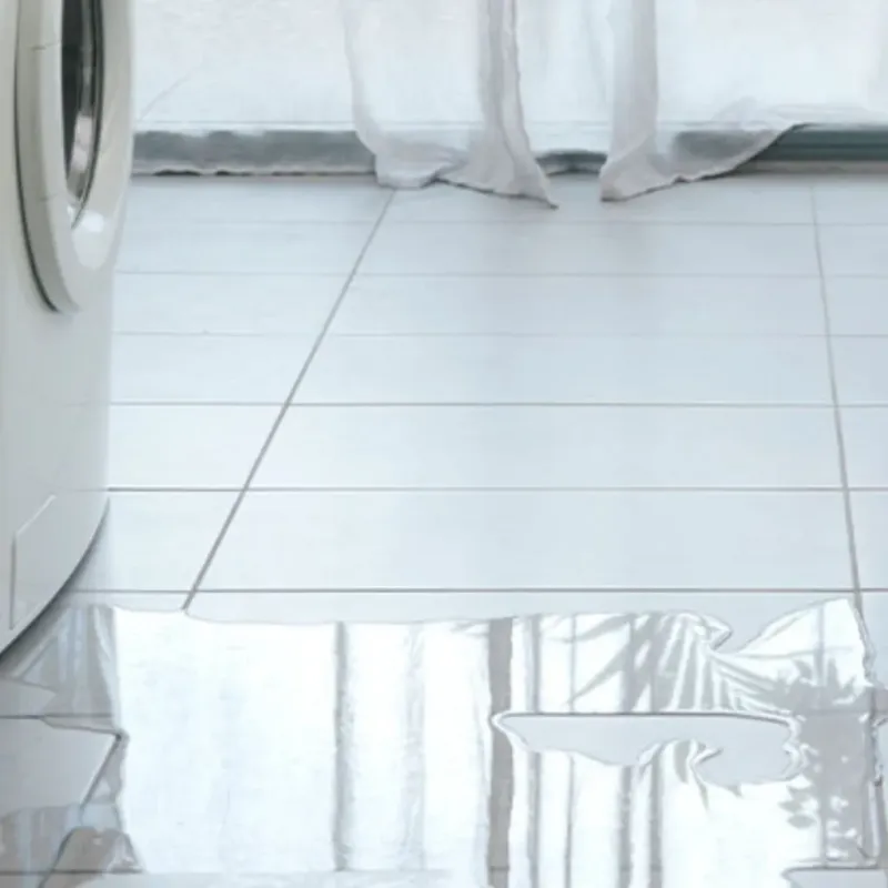 Appliance Leak Cleanup in Dexter, NY
