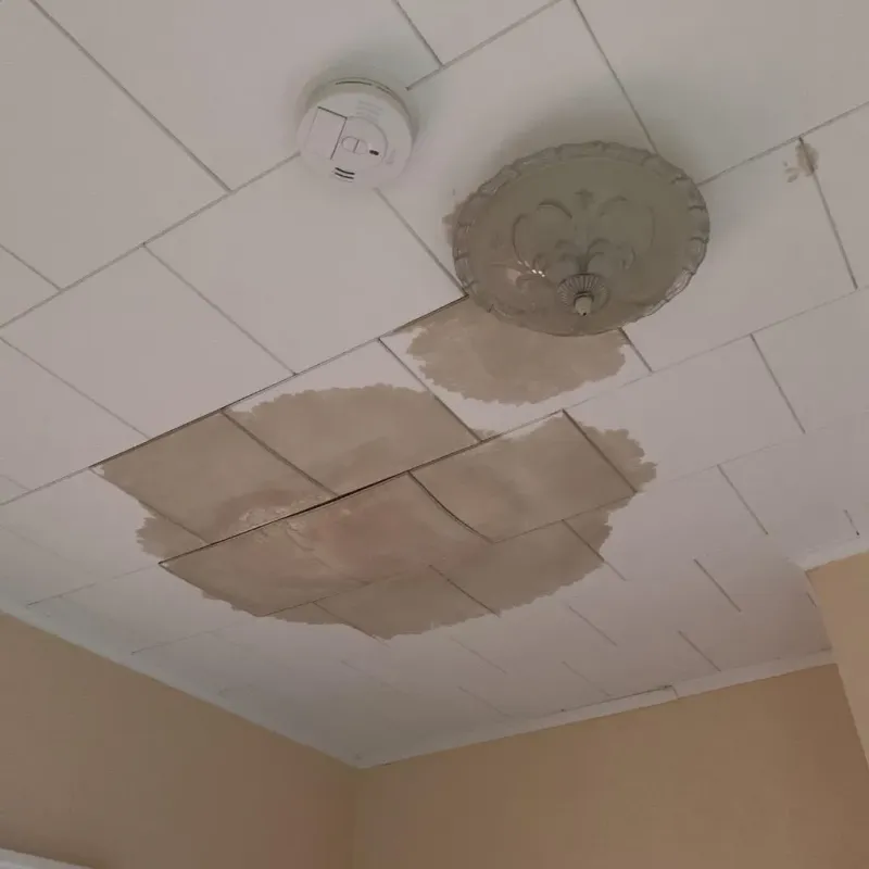 Ceiling Water Damage Repair in Dexter, NY