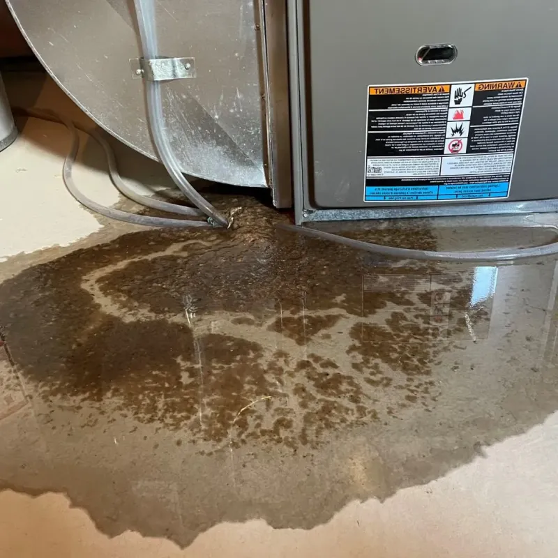 Pipe Burst and Leak Restoration in Dexter, NY